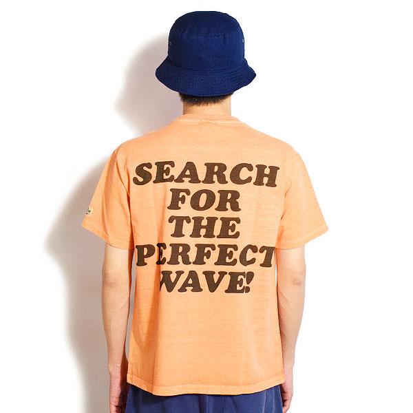 The Endless Summer（エンドレスサマー） Tシャツ The Endless Summer 