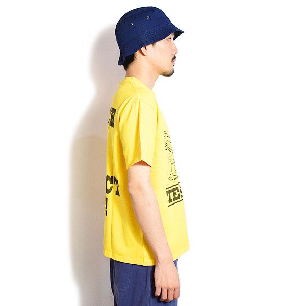 The Endless Summer（エンドレスサマー） Tシャツ The Endless Summer