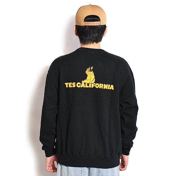 The Endless Summer（エンドレスサマー） スウェット The Endless