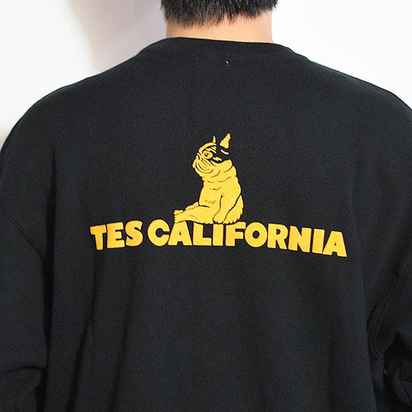 The Endless Summer（エンドレスサマー） スウェット The Endless