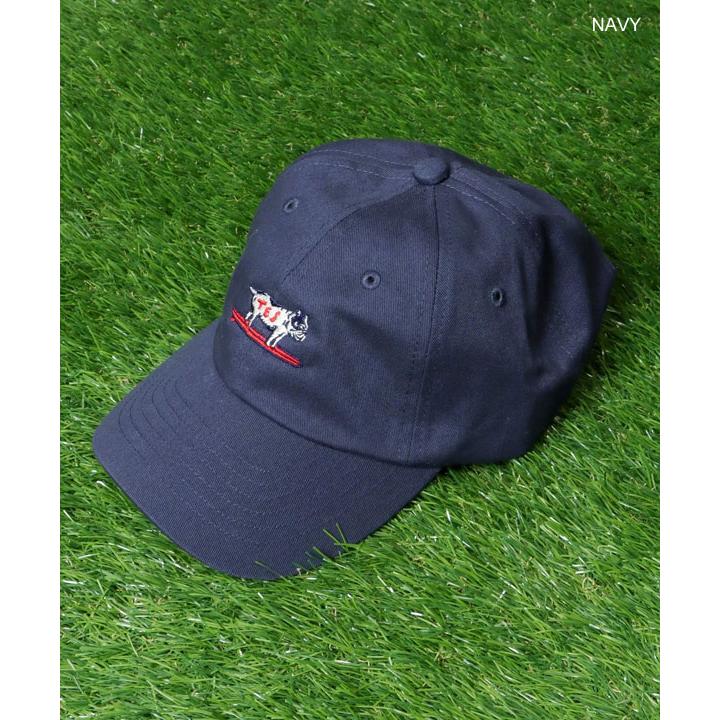 帽子 endless made The Endless Summer（エンドレスサマー） キャップ The Endless Summer