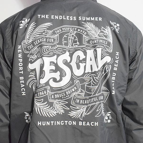 The Endless Summer（エンドレスサマー） ジャケット The Endless