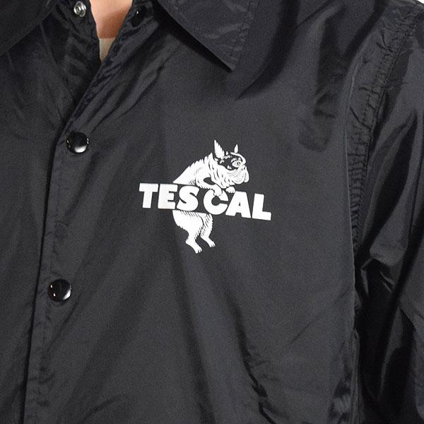 The Endless Summer（エンドレスサマー） ジャケット The Endless