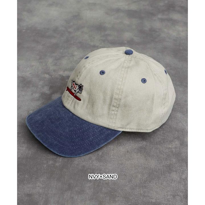 The Endless Summer（エンドレスサマー） キャップ The Endless Summer