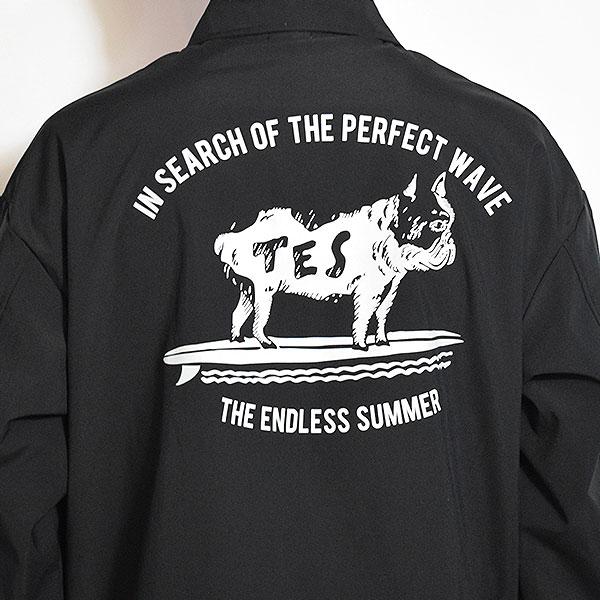 The Endless Summer（エンドレスサマー） ジャケット The Endless