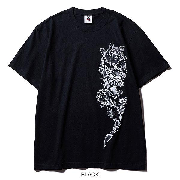 Softmachine（ソフトマシーン） 2026 春夏 先行予約 4月〜5月入荷予定