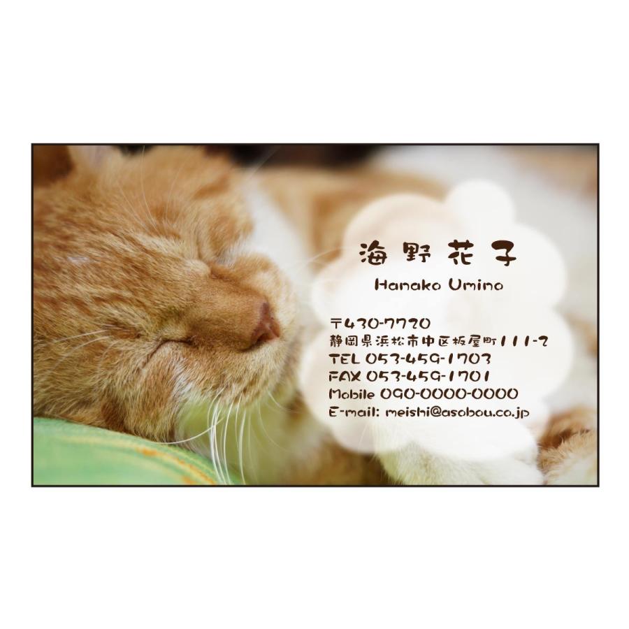2021高い素材 百貨店 写真名刺 カラー印刷 全面 2569 猫 50枚 名刺デザイン shitacome.sakura.ne.jp shitacome.sakura.ne.jp