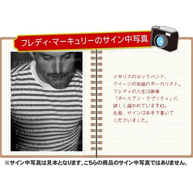 最大85%OFFクーポン 英語輸入版 クイーン フレディマーキュリー 写真集