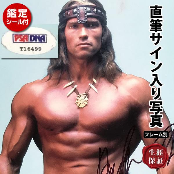 数量限定 コナン ザ グレート 映画 グッズ アーノルド シュワルツェネッガー 直筆サイン入り写真 Arnold Schwarzenegger オートグラフ フレーム別 鑑定済み 手数料安い Zoetalentsolutions Com