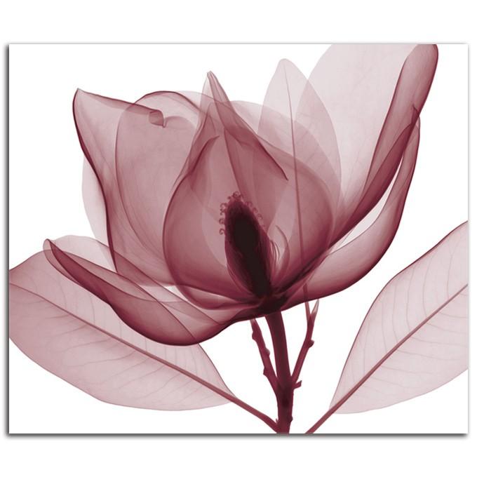 図画 横長 御膳上等 花 Red MagnoliaLsize W1200粍 H890粍 室内装飾 工芸 かっこ良い 飾りつけ 絵 柔らかい美 PLEXIGLAS 美術、工芸品-日本画