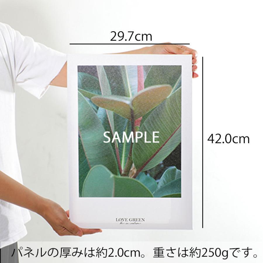 CREA アートパネル IconicPop リング 指輪 インテリア アート 壁掛け