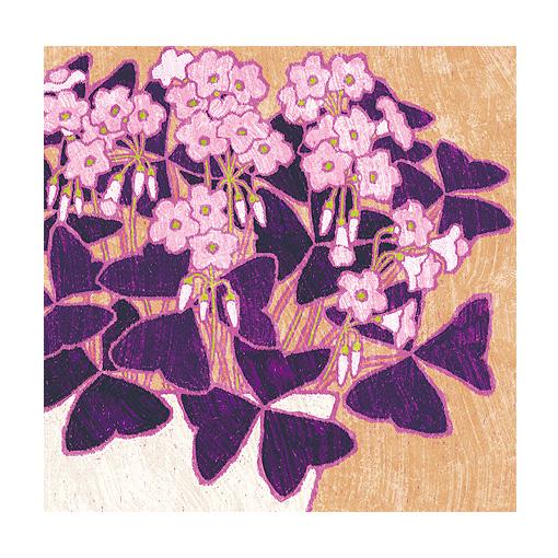 庭のオキザリス 絵画 版画 玄関 リビング 額入り 花の絵 プレゼント