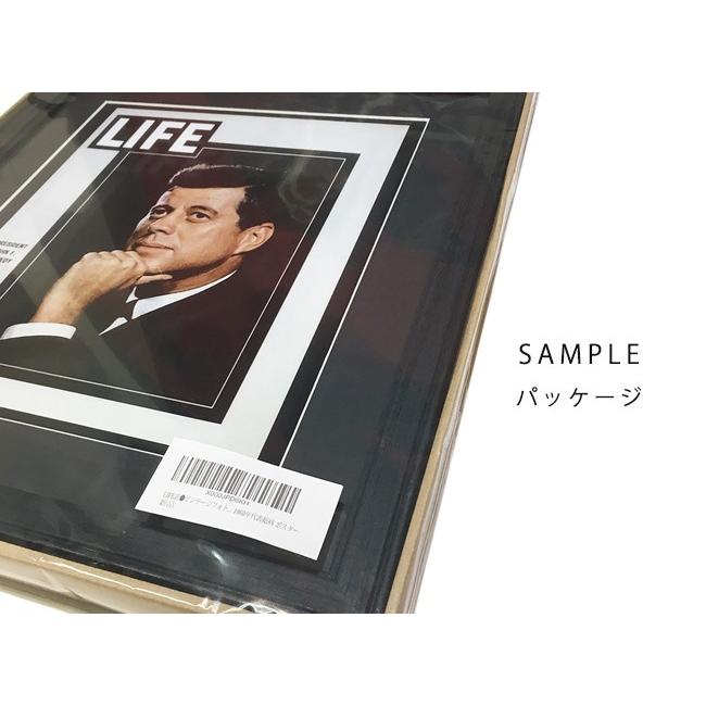 LIFE アートポスター「ガボール」インテリア おしゃれ 絵 壁掛け 写真