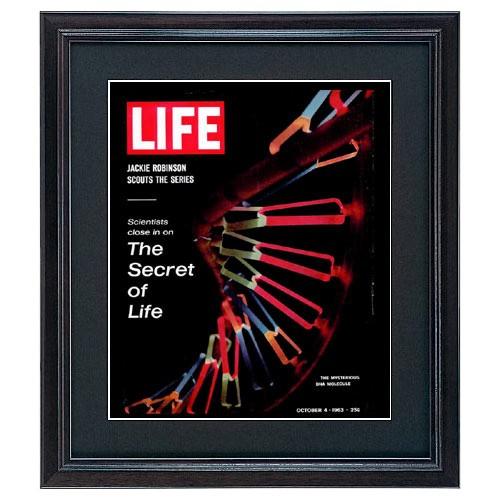 LIFE アートポスター インテリア「SEACRET OF LIFE」おしゃれ 壁掛け