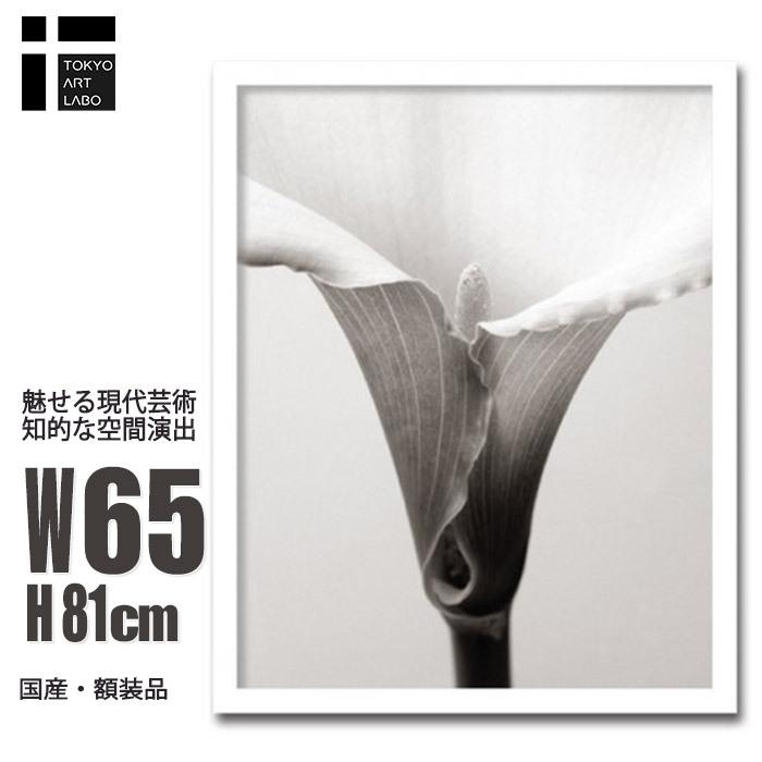 絵画 壁掛け インテリア アート Calla カラー 北欧 モダン 絵 おしゃれ