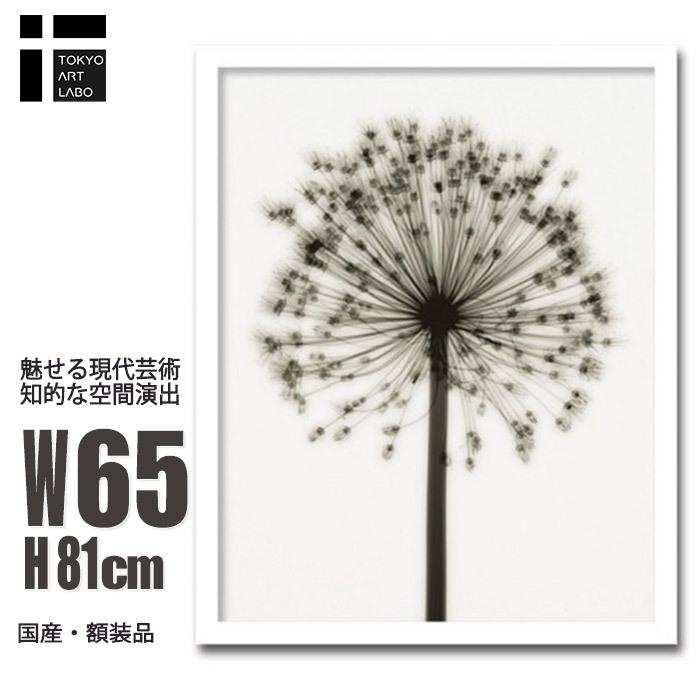 年最新海外 アートポスター 額入り Allium アリウム 北欧 モダン インテリア 壁掛け 絵 アート おしゃれ 花 植物 自然 写真 アートパネル 最安値に挑戦 Blog Lonolife Com