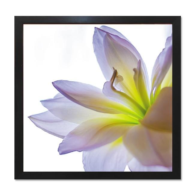 絵画 額入り 花 40cm おしゃれ 壁掛け 絵lily ゆり アートフレーム インテリア 壁 装飾 店 額入り Kj Rd 1001 Art Lab Yahoo 店 通販 Yahoo ショッピング