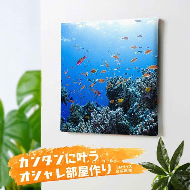 GRAPART アートパネル 水中写真 キャンバスアート 壁掛け 絵