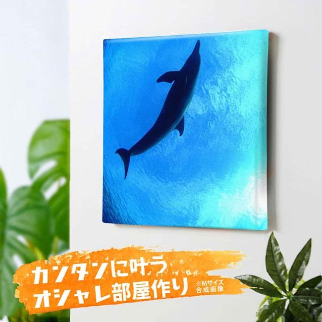 アートパネル インテリア 絵画 海 花 アート おしゃれ かわいい ニッチ