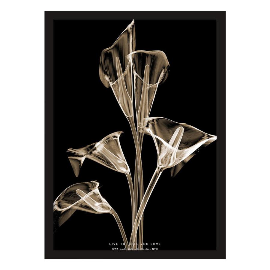 TAL アートポスター フレーム付き インテリア モダン アート 北欧 花の