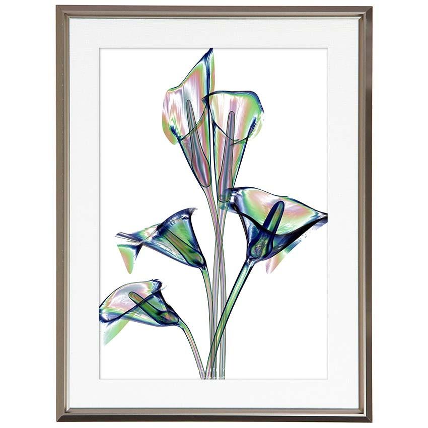Tal アートポスター フレーム付き インテリア モダン アート 北欧 花の絵 リビング 玄関に飾る絵 おしゃれ Xray Nyc No14 Nycp 113c Art Lab Yahoo 店 通販 Yahoo ショッピング