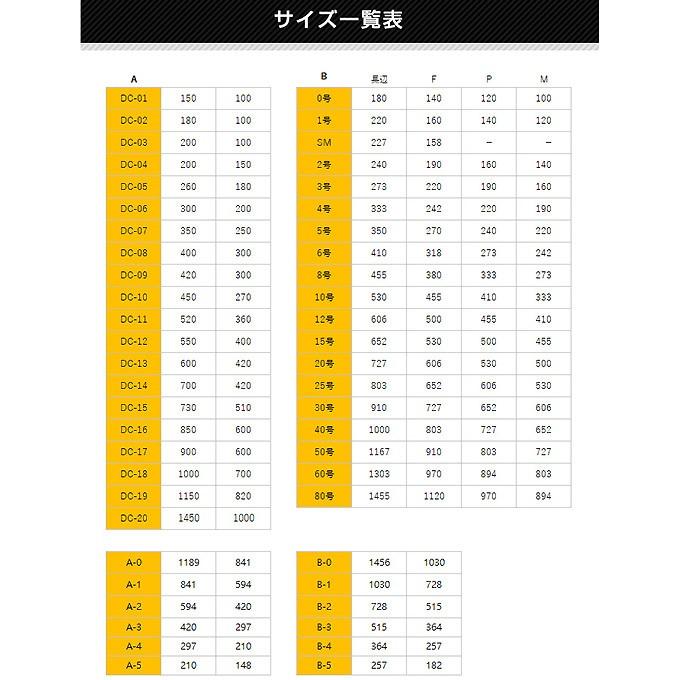 キャンバスプリント オリジナル制作 10号 F10 P10 M10 共通