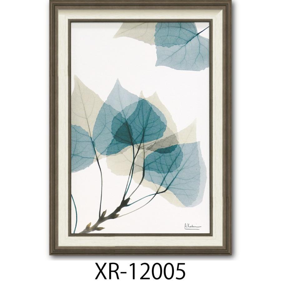 植物絵画　額入り 絵画 額入り リーフ1 Msize 「植物の持つ繊細美を透明感と優しい