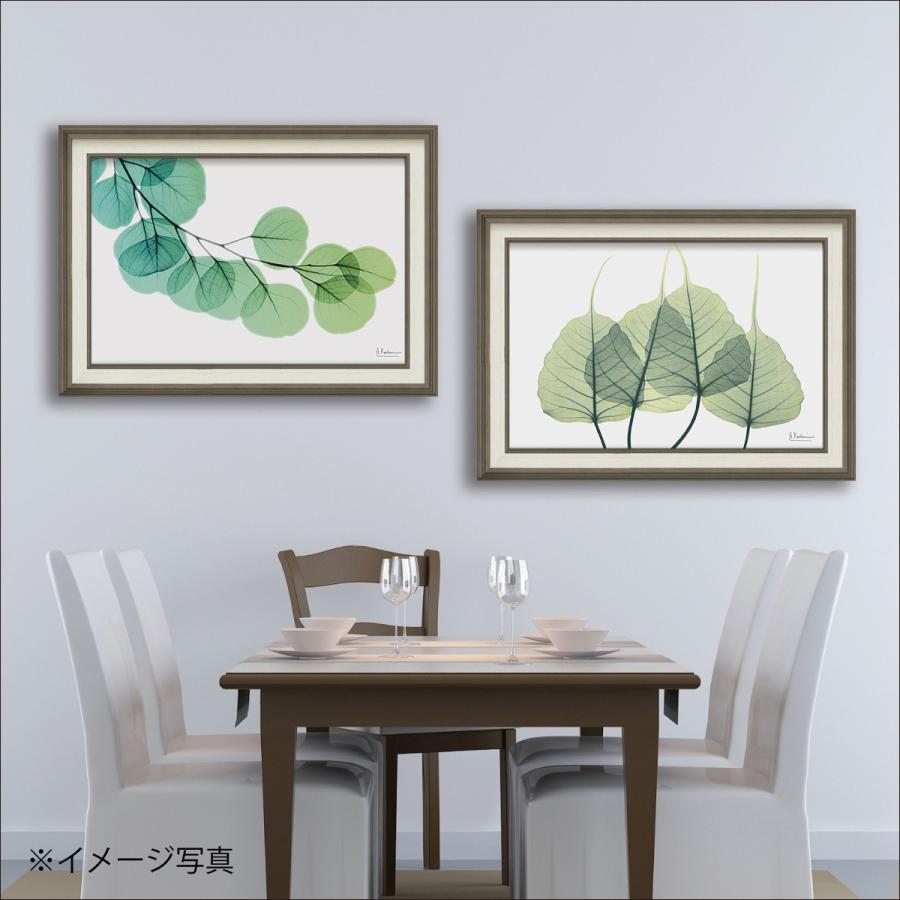 額入り　インテリア　絵では無く布です。 Amazon.co.jp: 絵画 インテリア 自然 空 成長 「grow」 額付き
