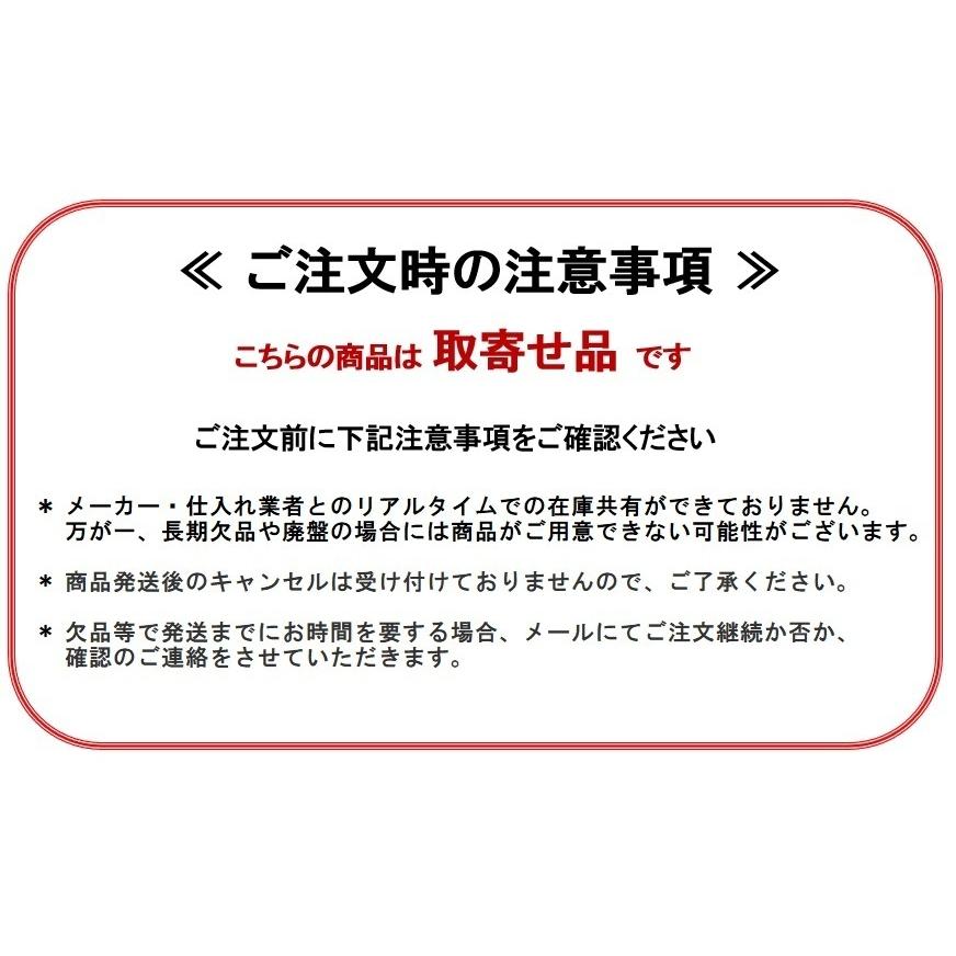 ニュースター ドアクローザー 取替用 P-182AK シルバー パラレル型