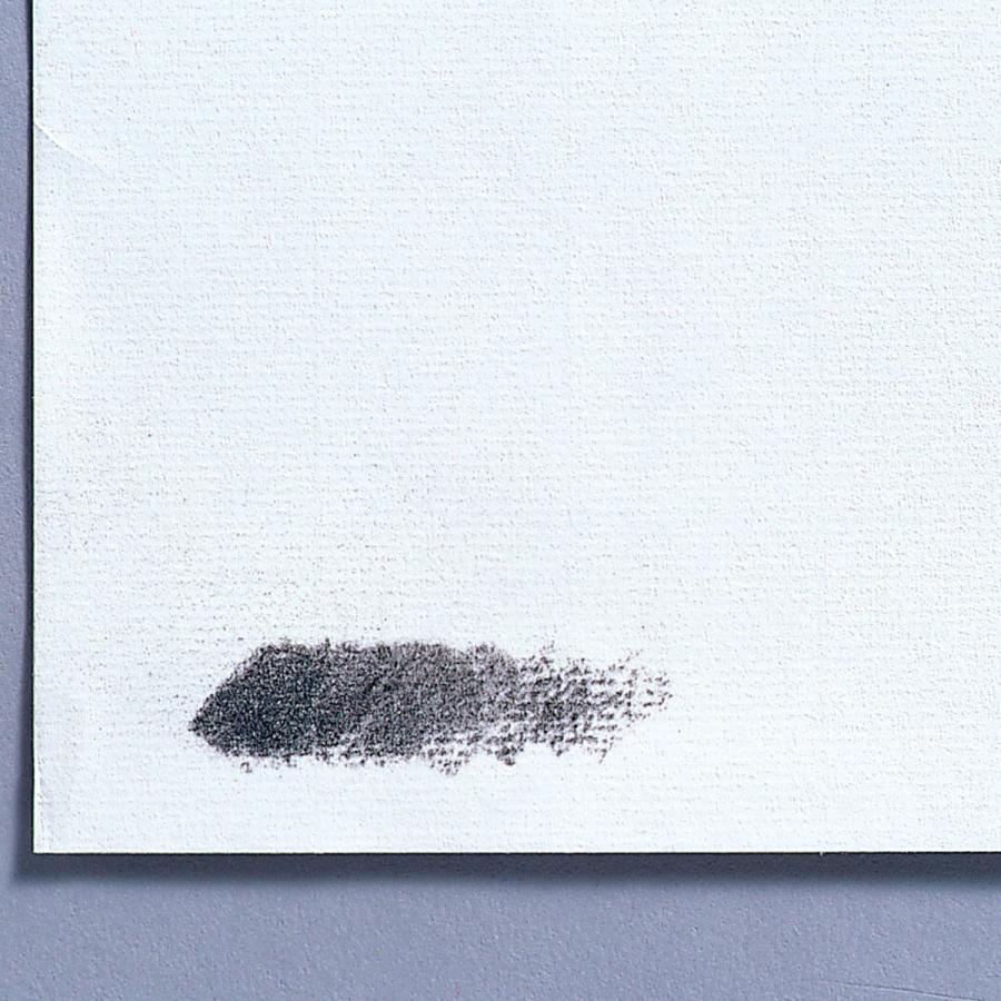 muse ＜お取り寄せ品＞ 木炭紙 キャンソン 25枚組 【 描画用紙 絵画