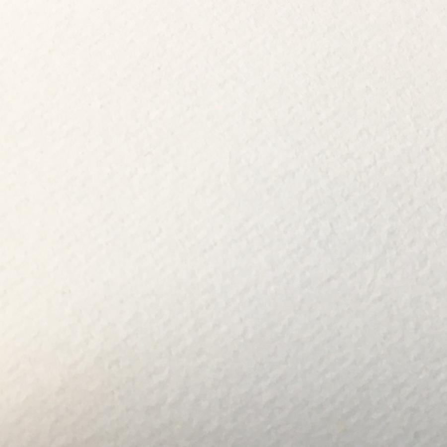 扇面型 色紙 画仙紙 縁金なし 最大長5mm 短冊 展示 用紙 画材 ものづくりのアートロコ 通販 Yahoo ショッピング