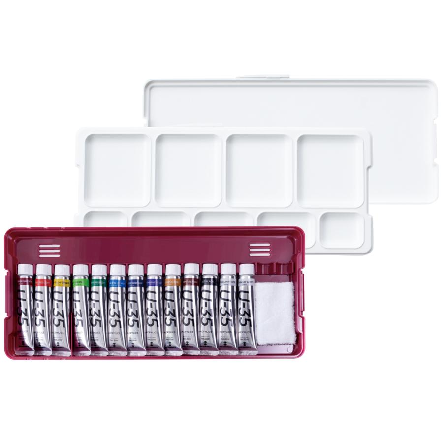 ターナー U-35 アクリル絵の具 ノーブルセット N13A 20mL 12色 W