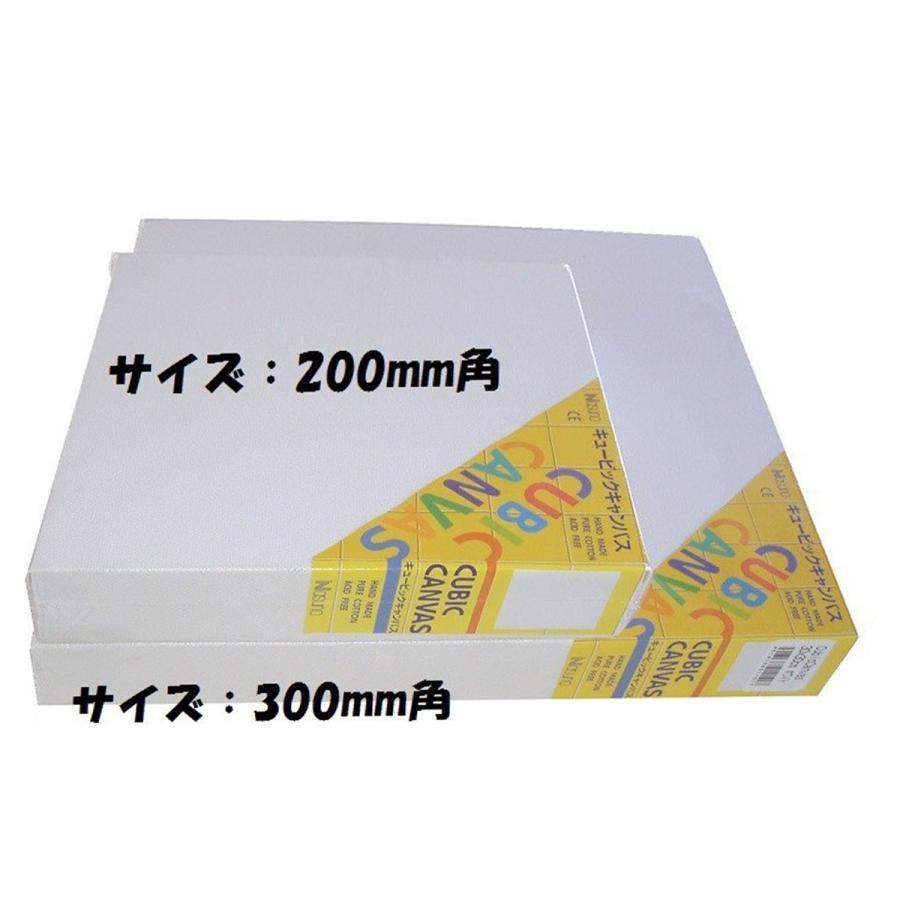 キュービックキャンバス 200mm角 綿100％ 中目 無地 【 ファブリック