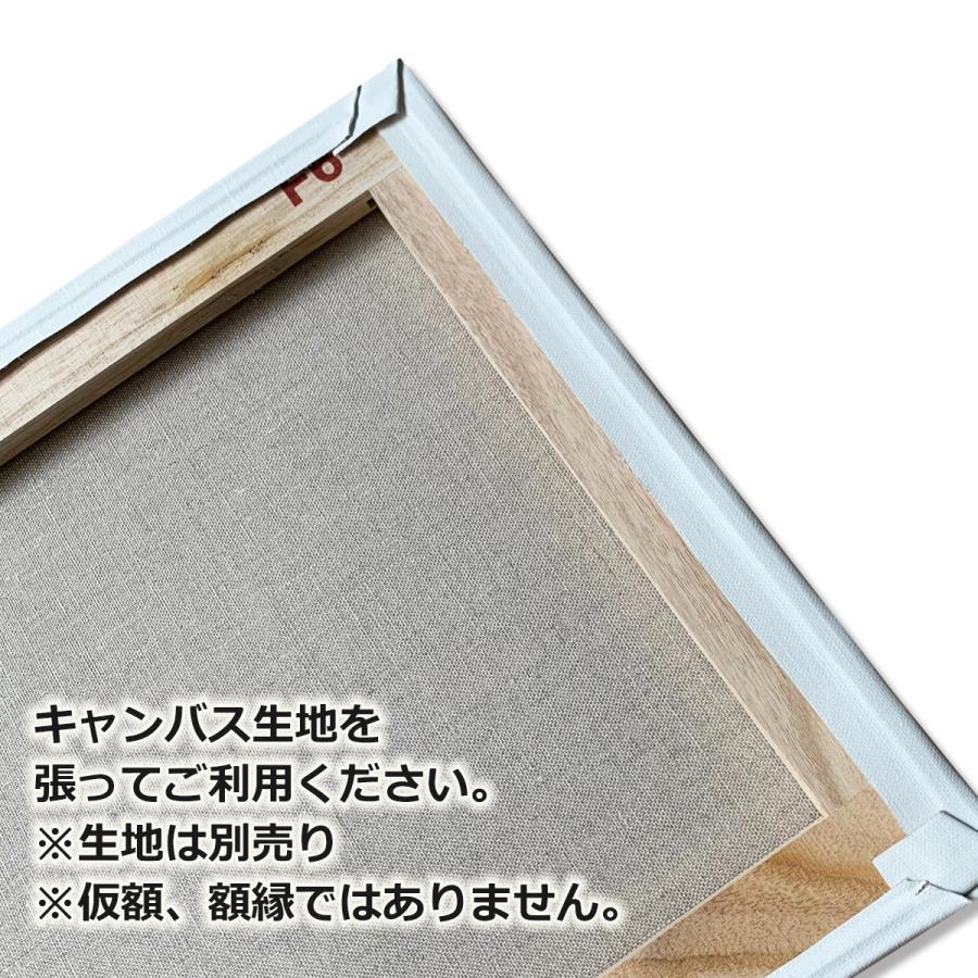 キャンバス用 木枠 F50号 桐材 クレサンジャパン 油彩画 絵画 :014172:画材・ものづくりのアートロコ 通販 パネル A4 桐枠 美術 画材 工作 図工 送料無料