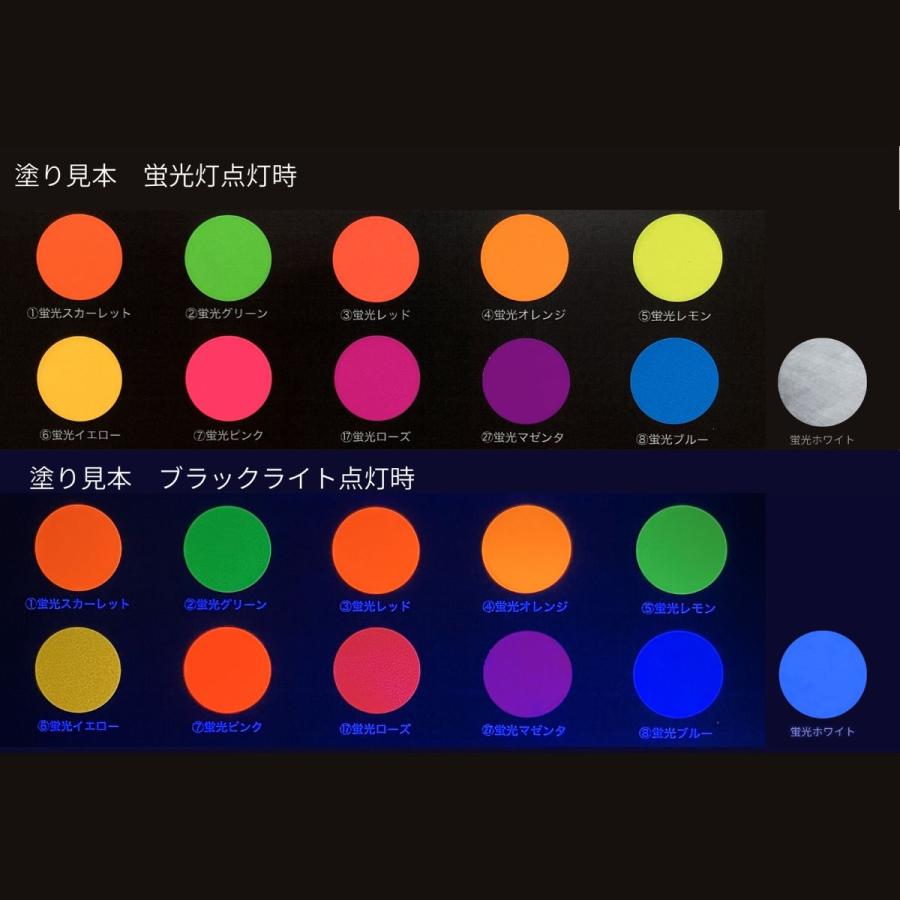 水性蛍光塗料 ルミノサインスイセイ 250mL 単品 全11色 【 耐水性