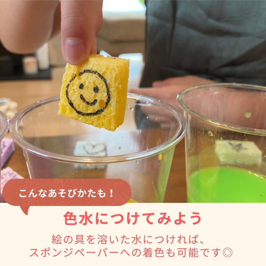 メール便可 ] 水で膨らむ スポンジペーパー 135×95mm 1枚 【 水