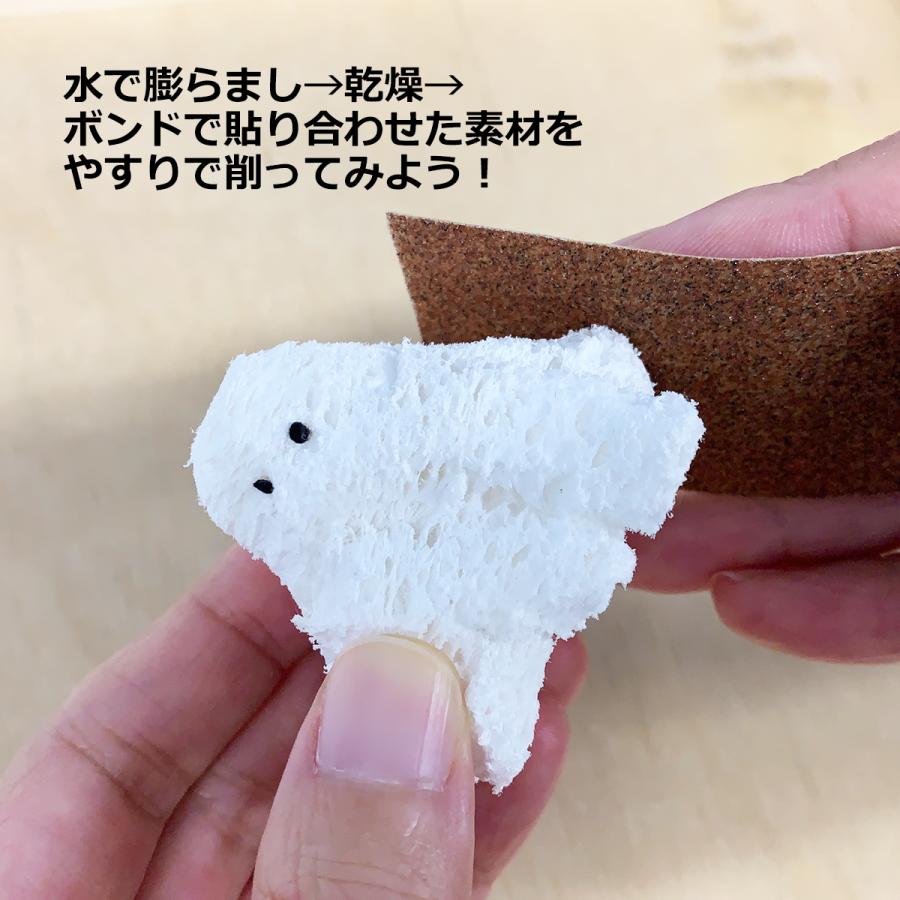 メール便可 ] 水で膨らむ スポンジペーパー 270×190mm 1枚 【 水