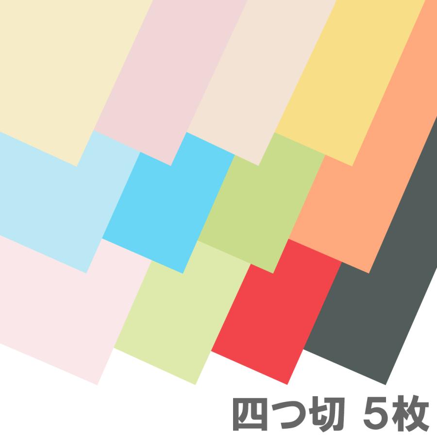 エスケント ニューカラーR 四つ切 393×543mm 厚さ約0.1mm 5枚組 【 色