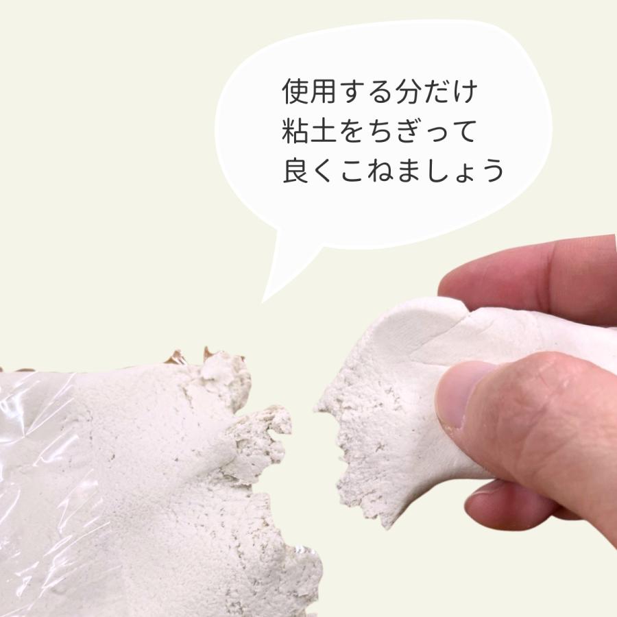 メール便可 ] 3Dクレイ 200g 石粉粘土 【 ねんど 塑像製作 】 : 画材