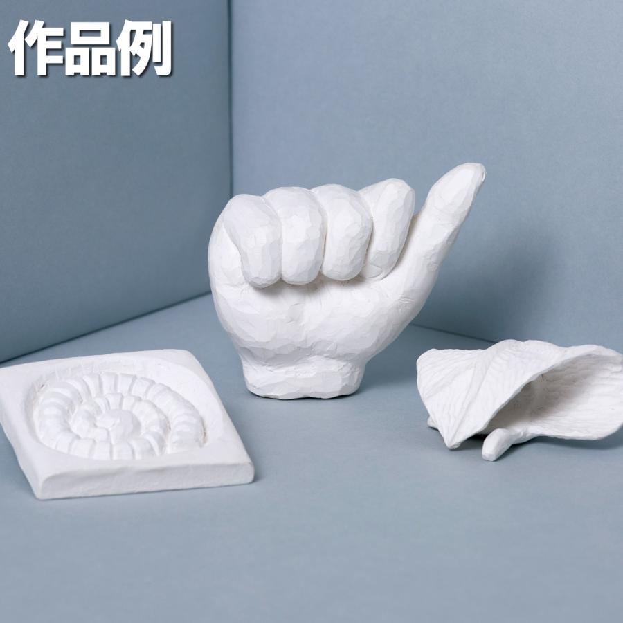ホレルネ 480g 乾燥後に彫れる粘土 粘土 工作 白 画材 ものづくりのアートロコ 通販 Yahoo ショッピング