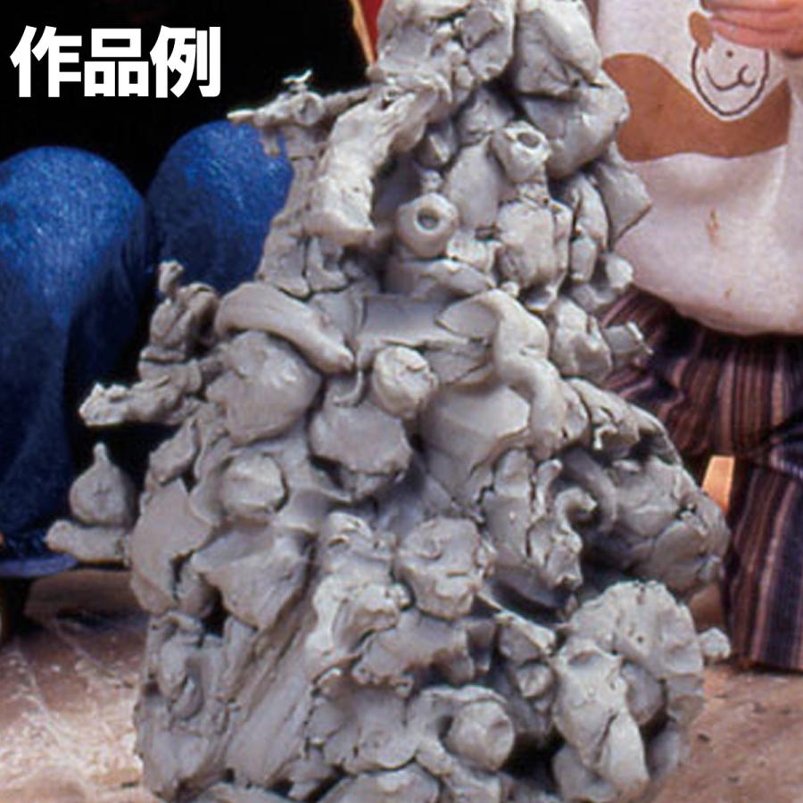 彫塑用粘土 テクニー 土粘土 10kg 【 土ねんど 天然 青木節 】 : 画材