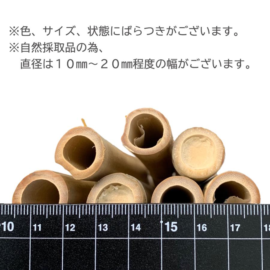 白竹 直径約15〜20mm前後 長さ約900mm 10本組 【 竹 材料 竹材 竹細工