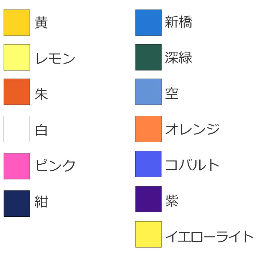 ネオカラー（ターナー） ネオカラー B色 600ml 単色 【 neo color 絵具