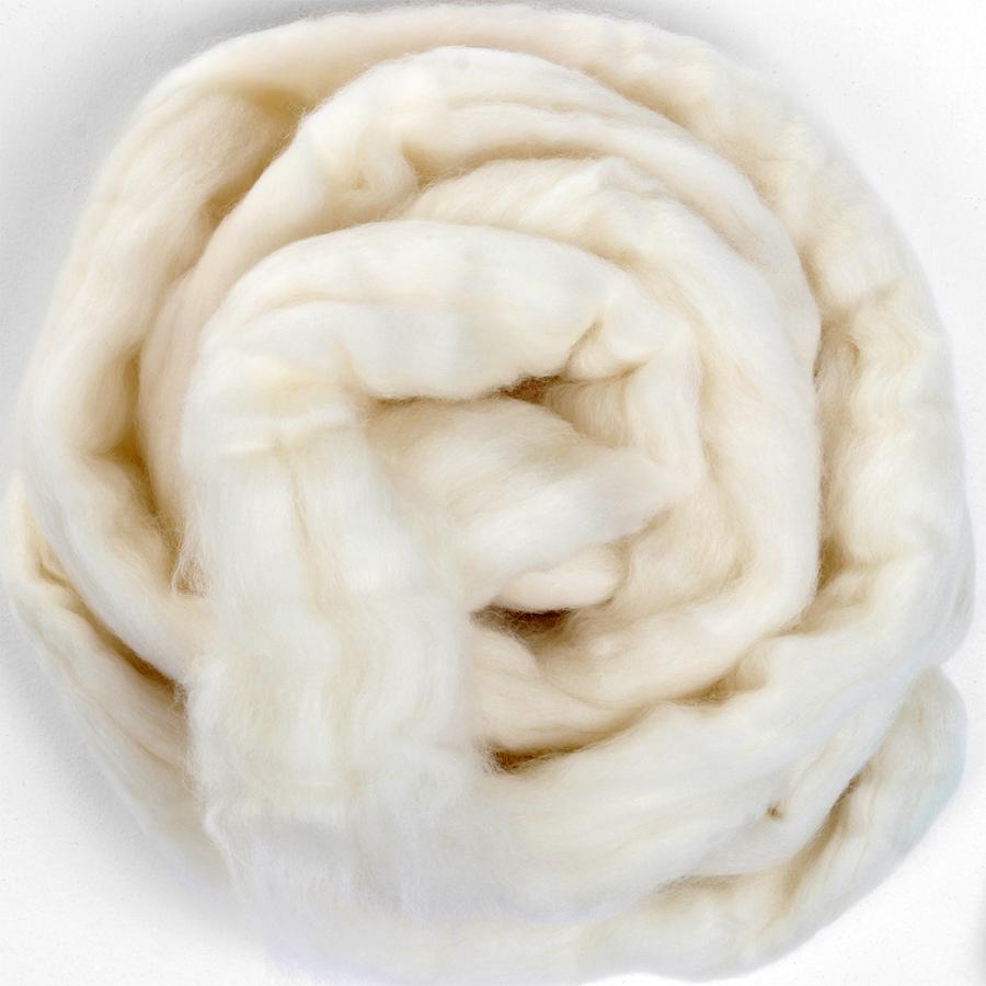原毛 ポロアス スライバー 500g 【 フェルト 羊毛 】 : 画材
