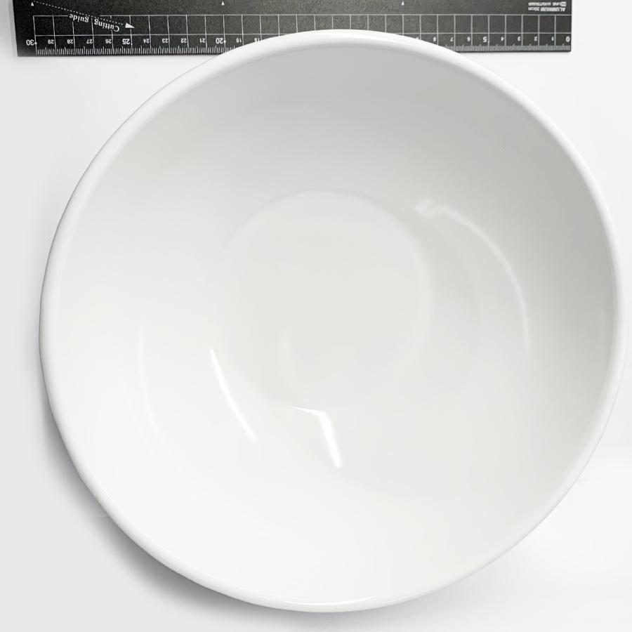 野田琺瑯（noda horo） ホーロー ボール 大 径260mm 日本製 【 ボウル