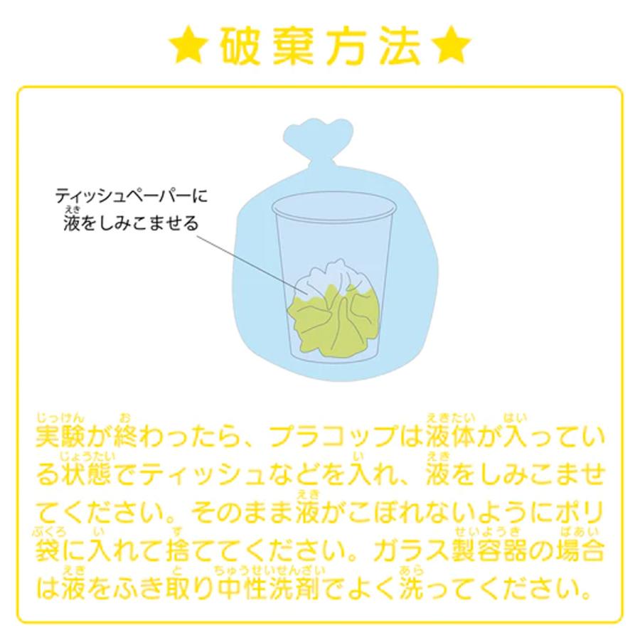 実験キット 化学のヒカリ水でいろいろな色をつくろう! おうちでできるサイエンス ルミカ 【 科学 小学生 知育 知育玩具 理科 科学 】｜artloco｜06