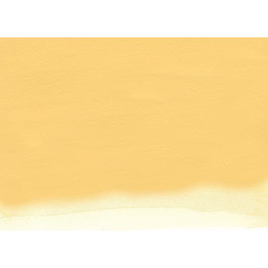 ニッカー ポスターカラー 40mL ボトル 29ネープルスイエロー NAPLES YELLOW 1本 NICKER : 画材・ものづくりの ...