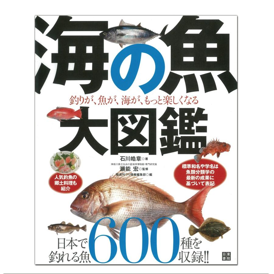 海の魚大図鑑 日東書院本社 石川皓章著 AB判変形判 書籍 【 本 海の魚大図鑑 日東書院本社 石川皓章著 AB判変形判 書籍 【 本