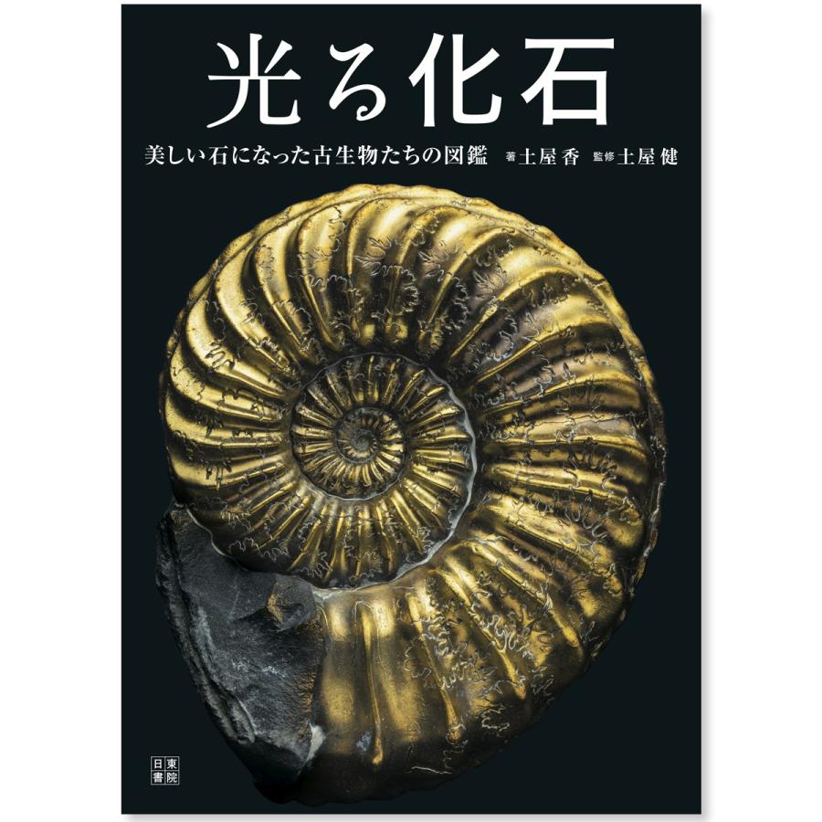 光る化石 美しい石になった古生物たちの図鑑 日東書院本社 全176ページ
