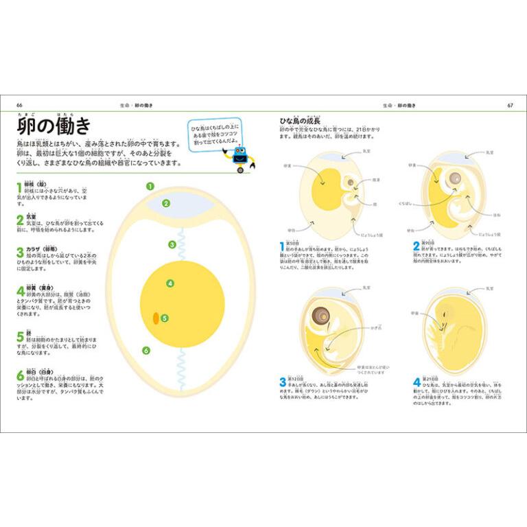 理科の図鑑 子供の科学ビジュアル図鑑 誠文堂新光社 【 知育 ギフト